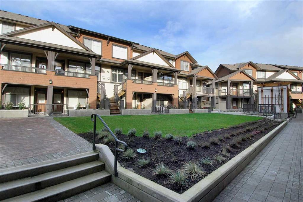 Sunset Grove | 19479 65 Avenue, Surrey | YouLive.ca