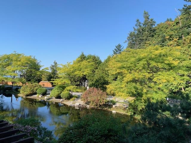 #223 1120 Tsatsu Shores Drive Tsawwassen - MLS: R2974055